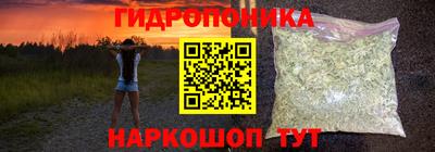 шишки Беслан