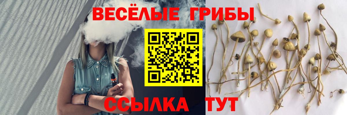 Ишимбай  Псилоцибиновые грибы прущие грибы  Галлюциногенные грибы Cubensis  где купить наркоту  Вход с VPN 